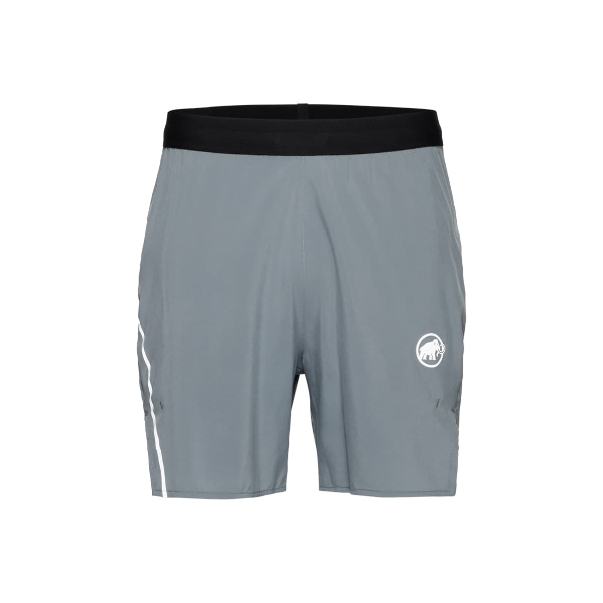 Mammut Mammut Men's Aenergy TR Shorts  Strata