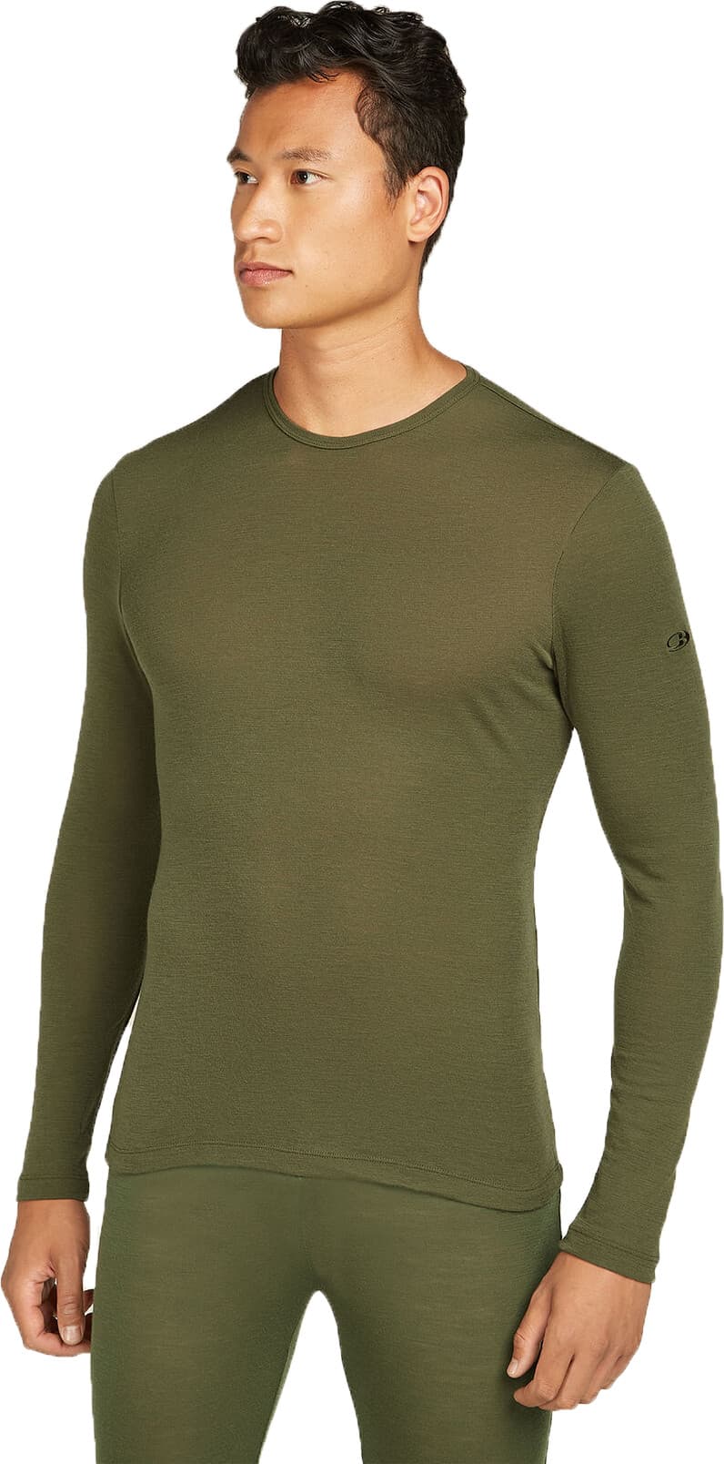 Icebreaker Men's 175 Everyday Longsleeve Crewe LODEN