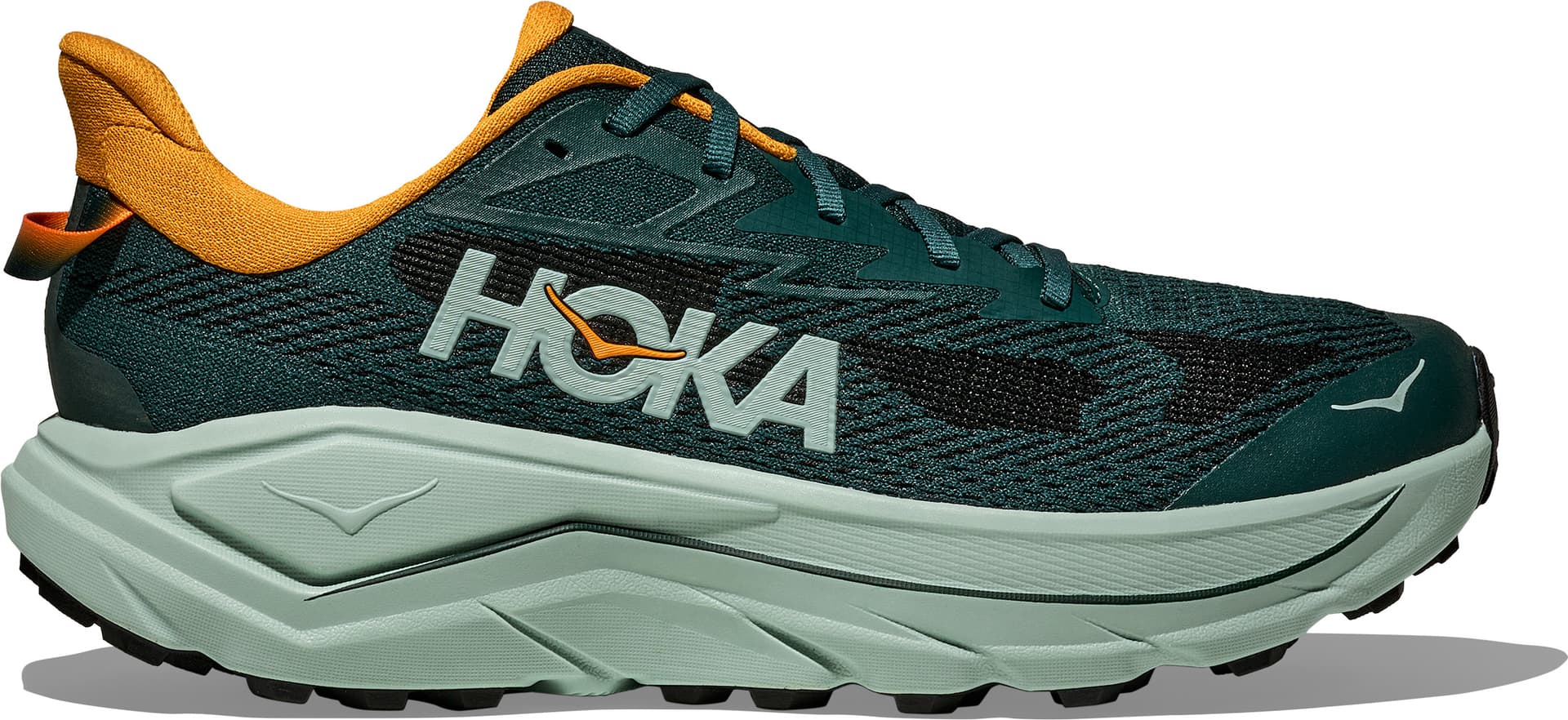 HOKA Hoka Men's Challenger 8 Bay Leaf/Sage