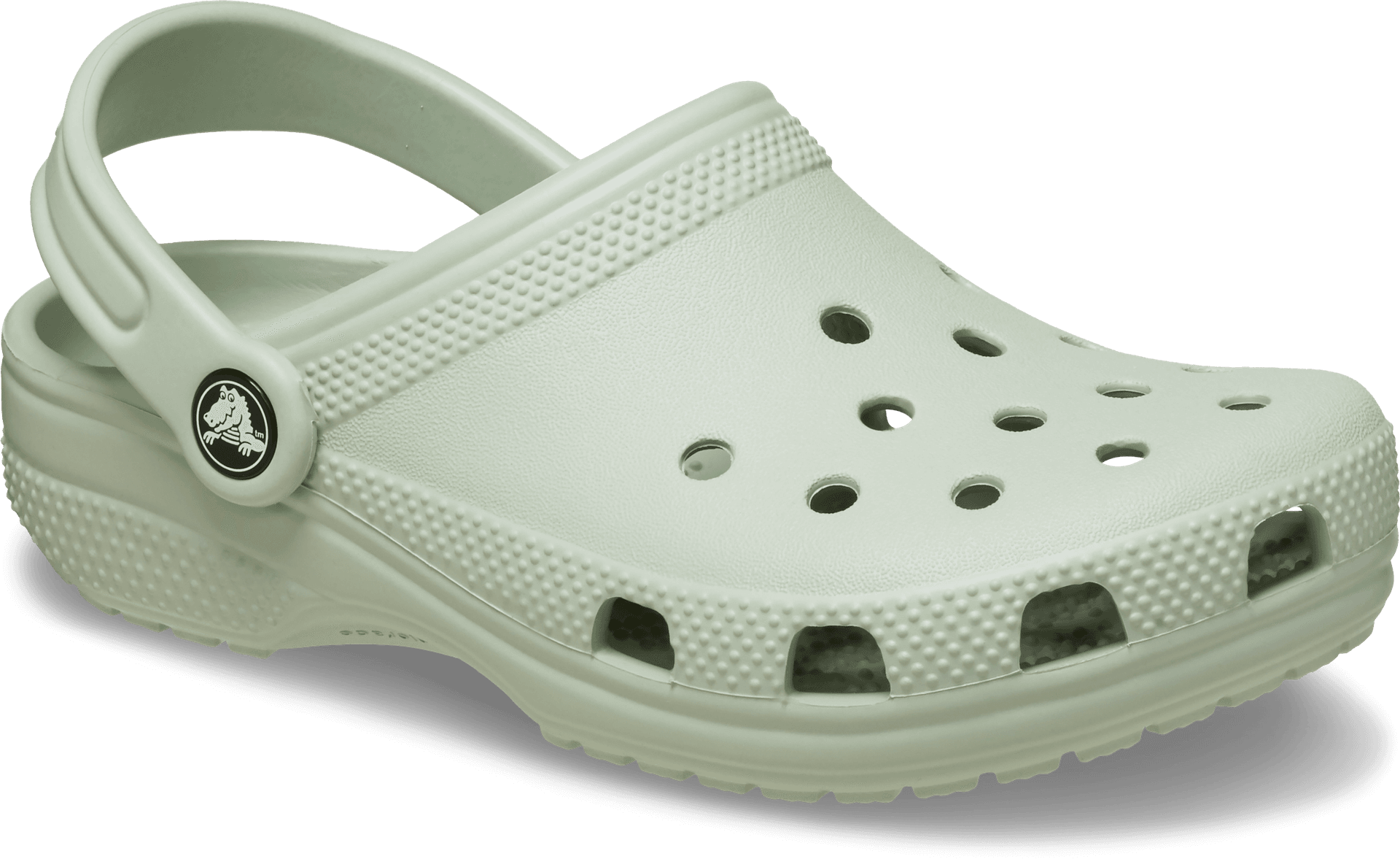Crocs Crocs Kids' Toddler Classic Clog Plaster