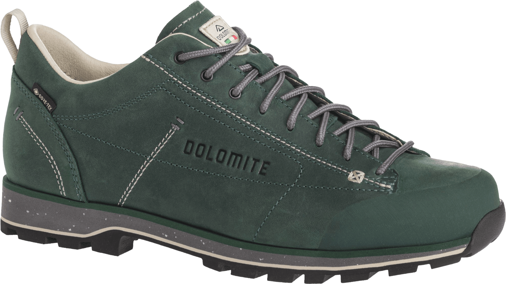 Dolomite Dolomite Unisex Dolomite 54 Low FG EVO GORE-TEX Dark Green