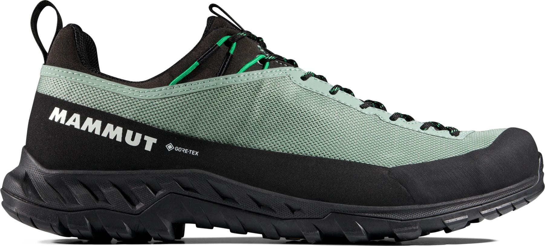 mammut Mammut Men's Alnasca Iv Low Gtx  Deep Silver Sage-pinea