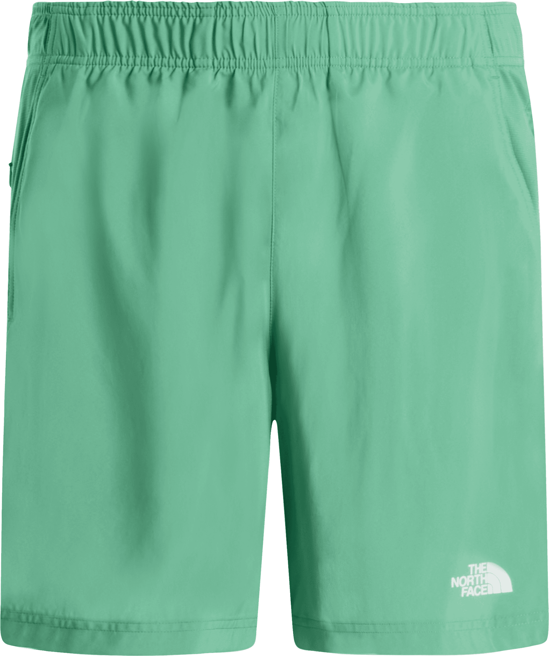 The North Face The North Face Men's 24/7 Shorts Dimmed Algae