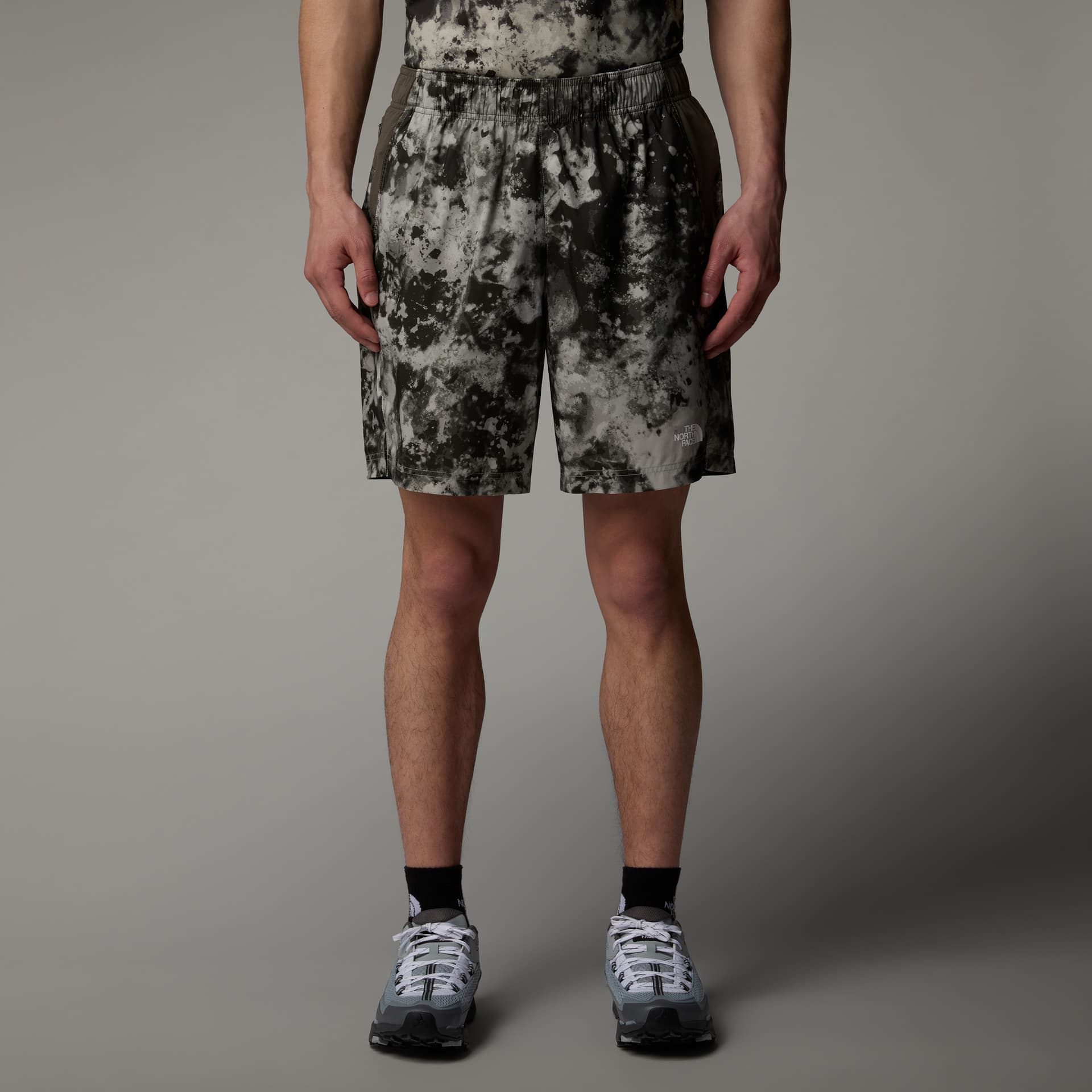 The North Face The North Face Men's 24/7 Printed Shorts Clay Grey Micro Halfdome Print/New Taupe Green