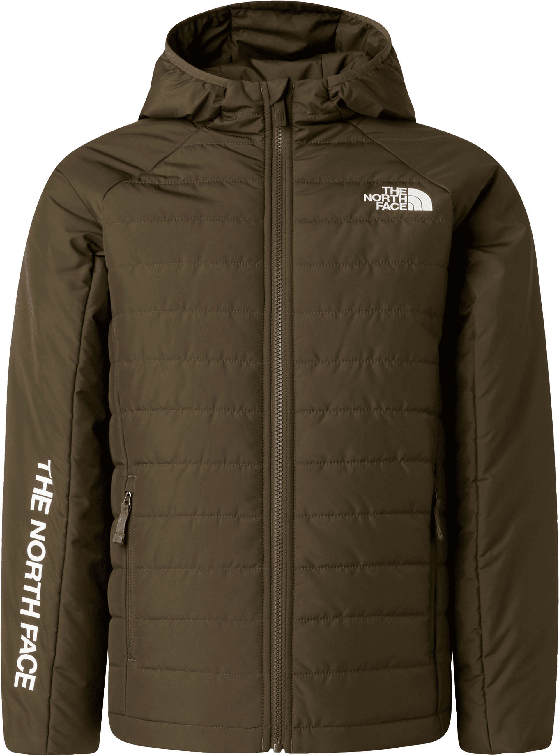 The North Face The North Face Boys' Never Stop Synthetic Jacket New Taupe Green