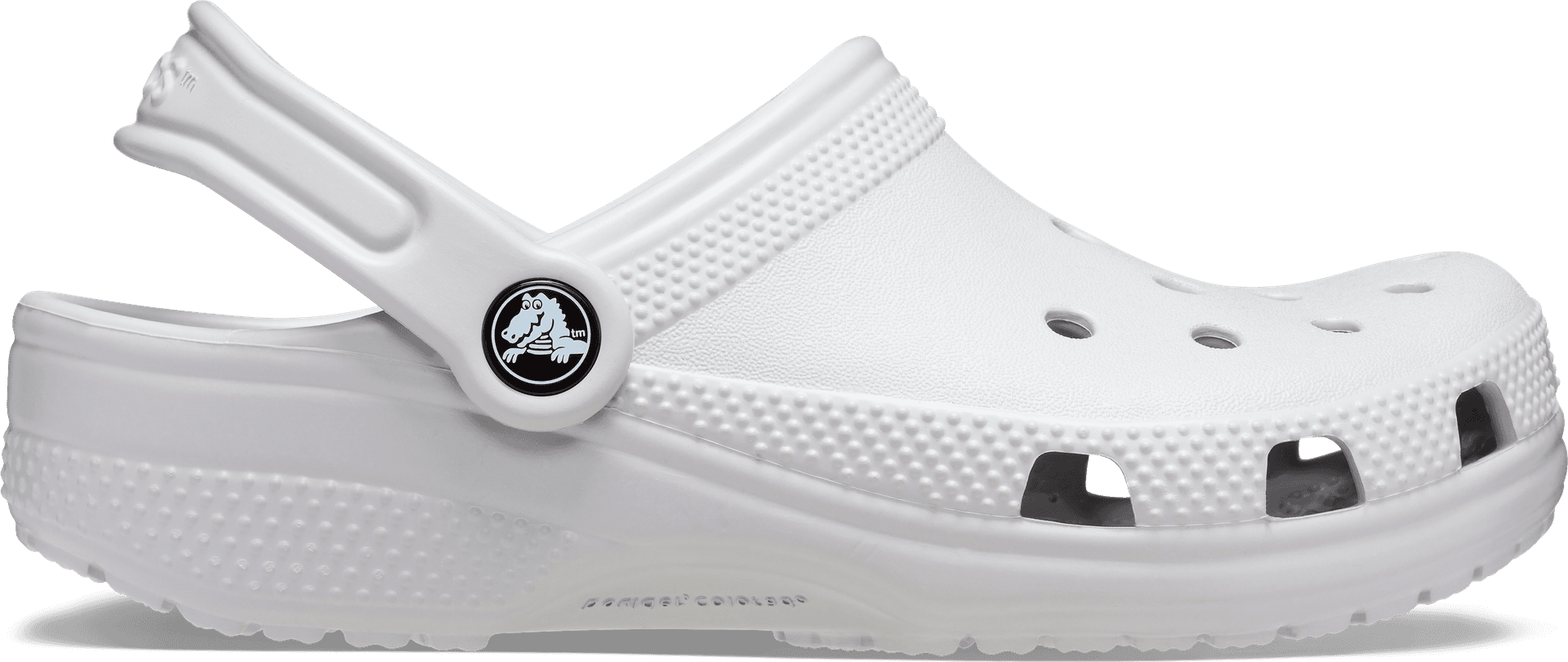 Crocs Crocs Kids' Classic Clog Atmosphere