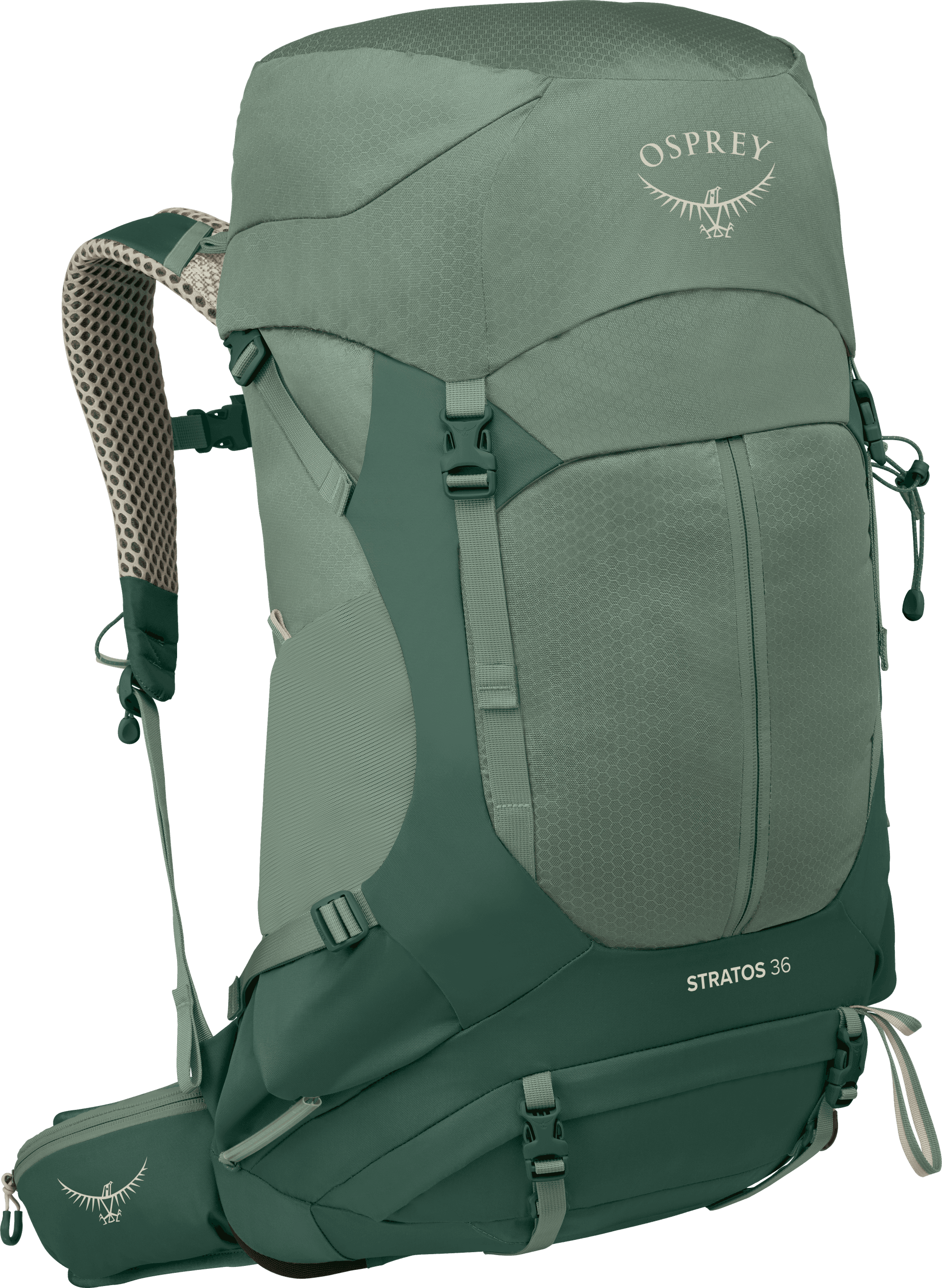 Osprey Osprey Men's Stratos 36 Pine Leaf Green