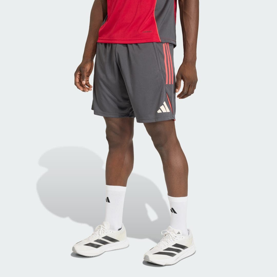 Liverpool FC Tiro 25 Competition Training shorts