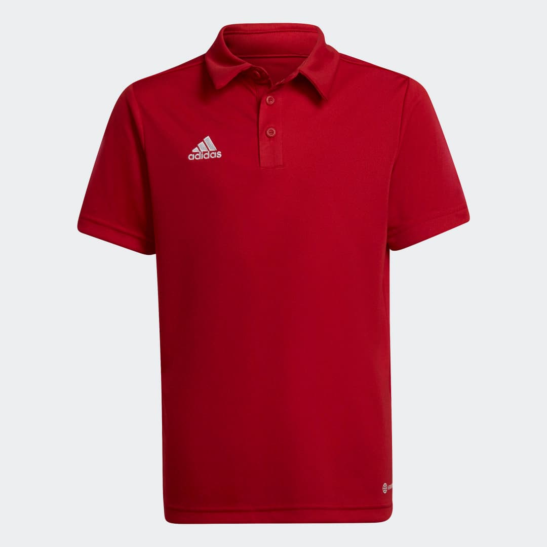 Adidas Entrada 22 poloskjorte