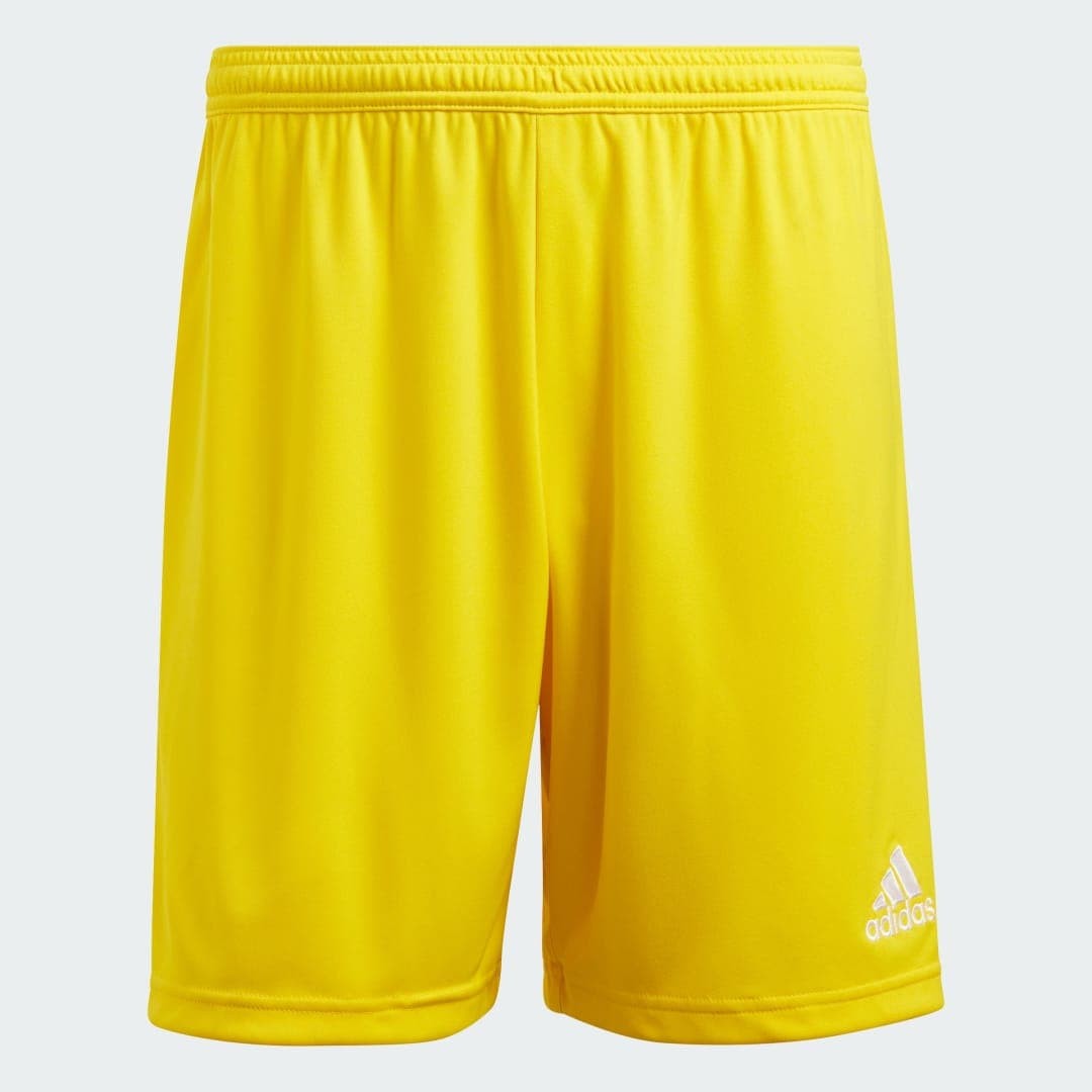 Adidas Entrada 22 Shorts