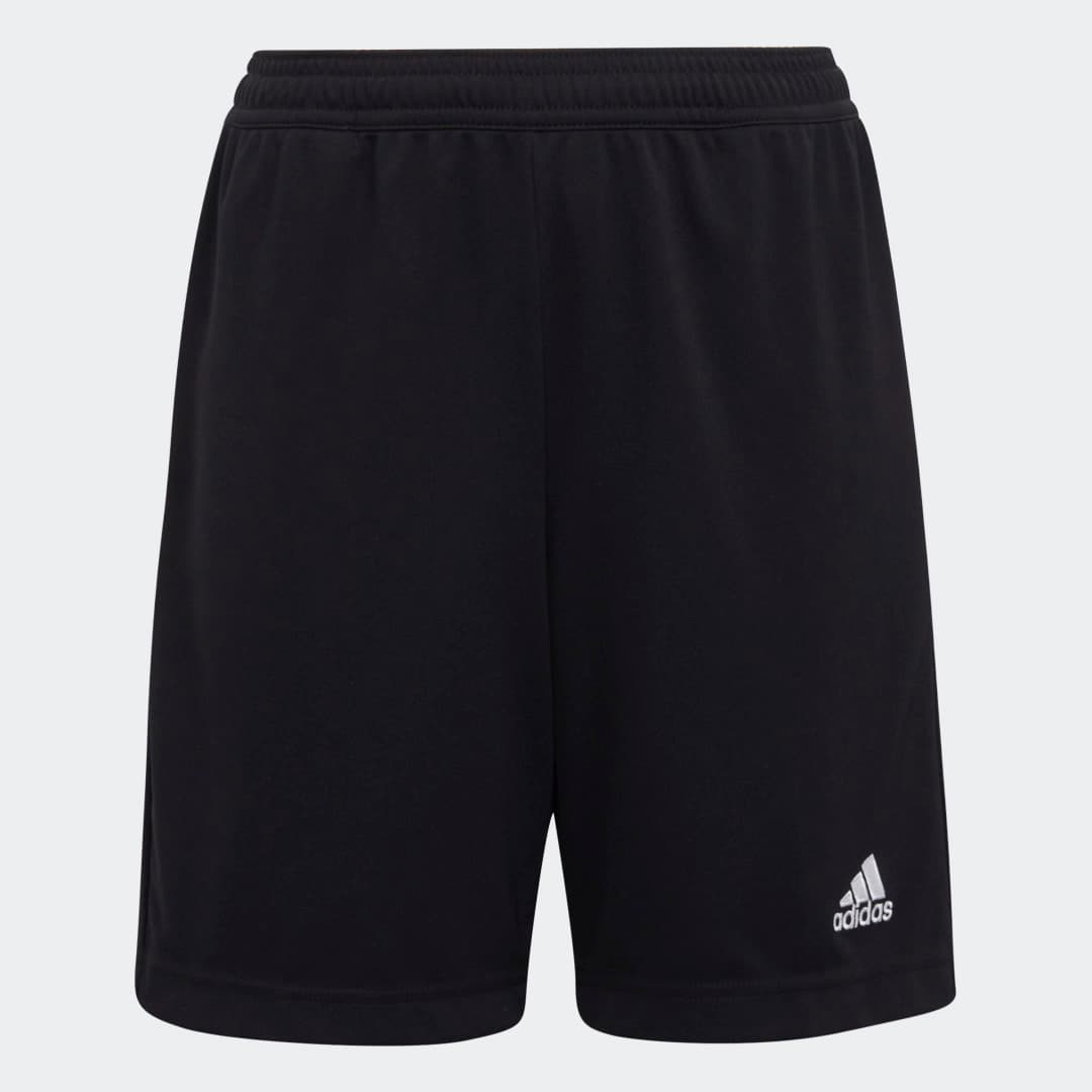 Entrada 22 treningsshorts