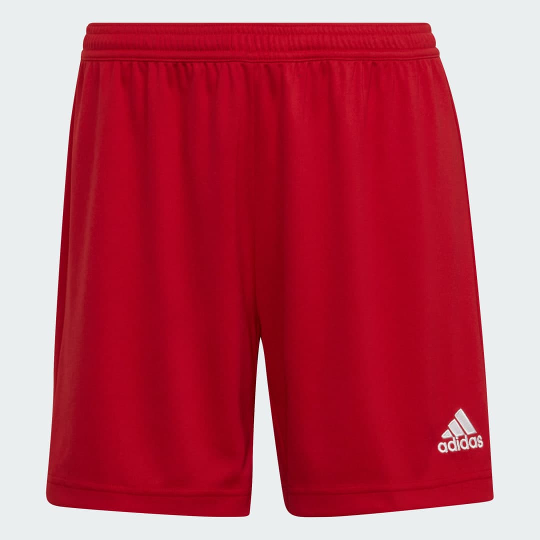 Adidas Entrada 22 Shorts