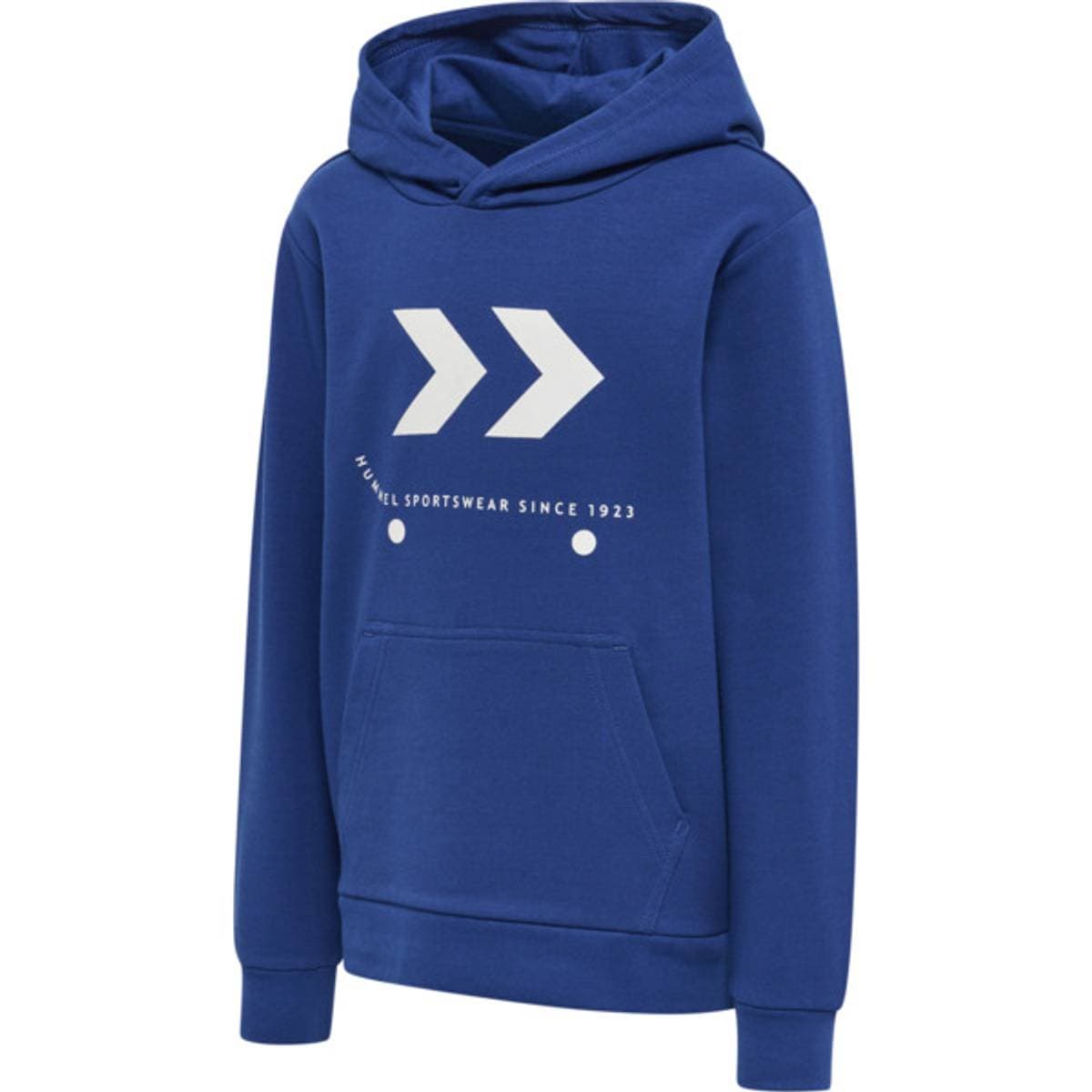 Hummel Skate Hoodie Sodalite Blue (104 / 4 år)