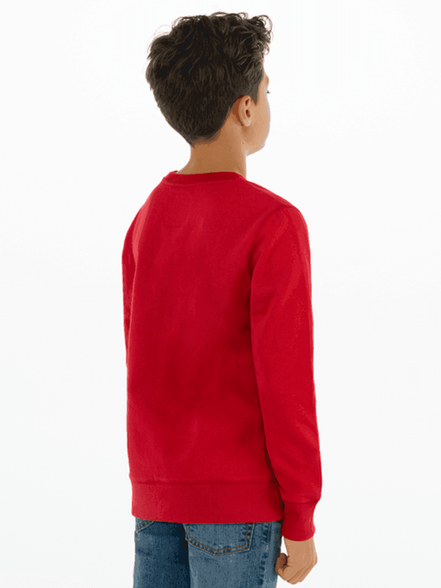Levis Batwing Crewneck Genser Levis Red/ White (176 /16 år)