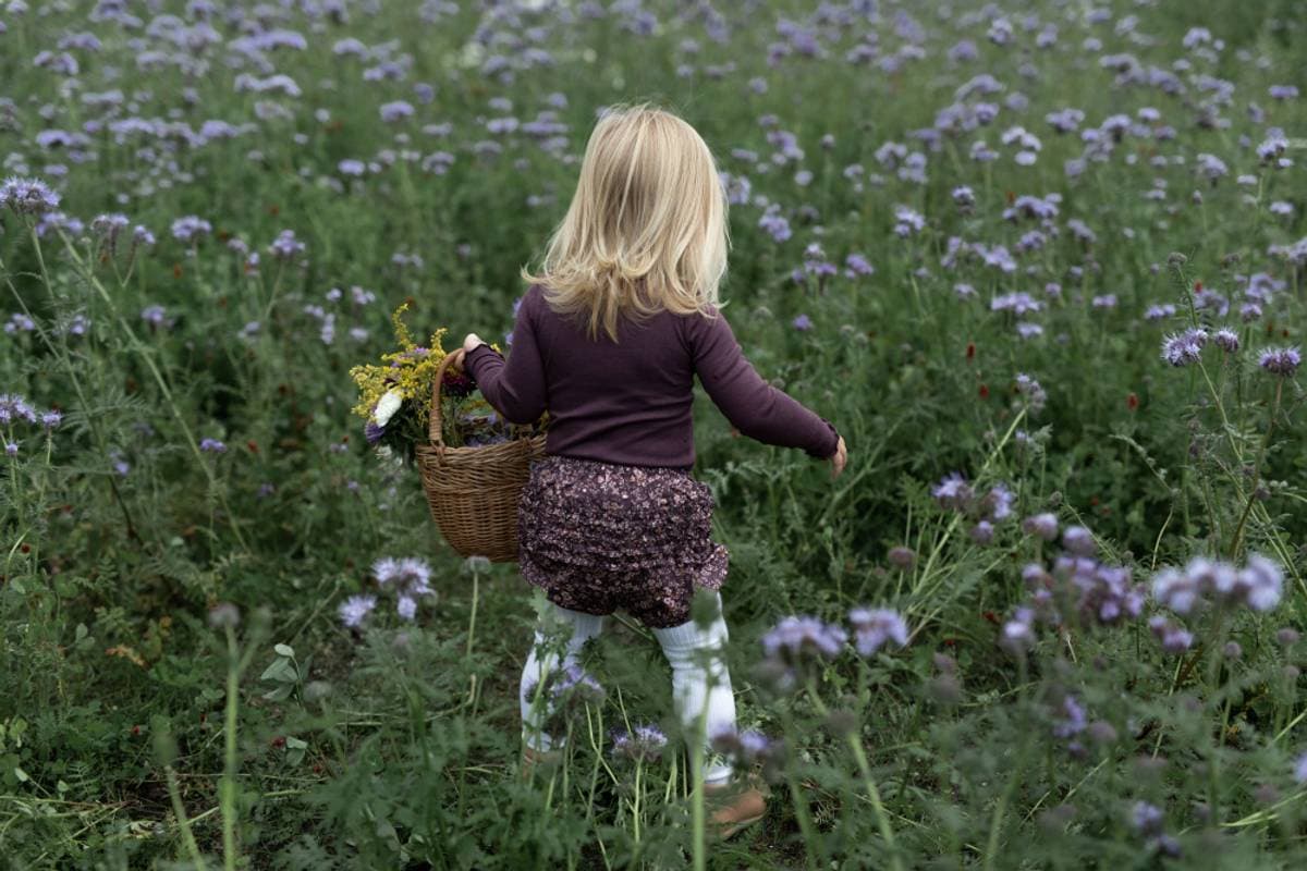 Burgunder Blomstrete Wheat Ruffles Bleieshorts (56 / 1-2 mnd)