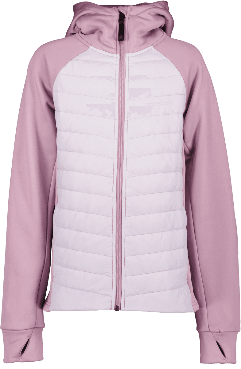 Didriksons Tovik Girls Hoodie 5 Purple Rain (170 / 15-16 år)