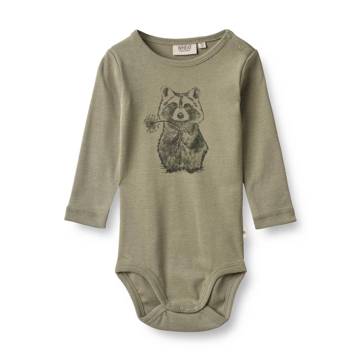 Wheat Body Raccoon Sage (74 / 9 mnd)