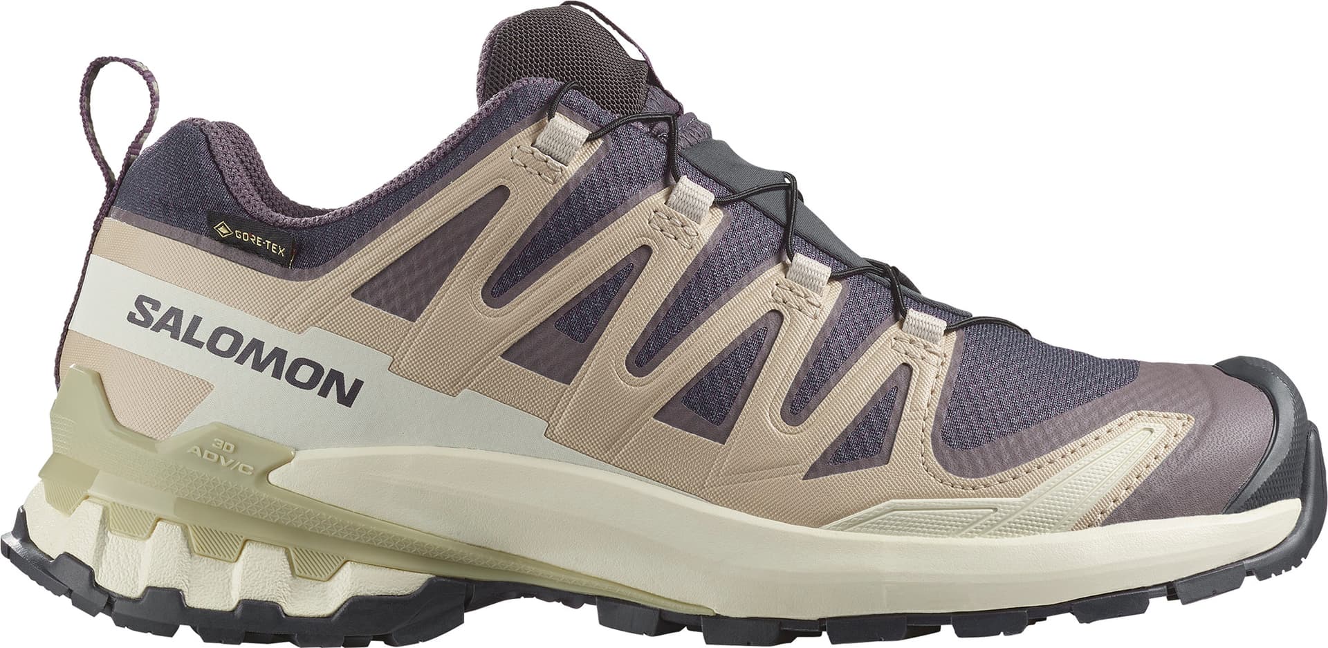 Salomon Salomon Women's XA Pro 3d V9 GORE-TEX Nine Iron/oxford Tan/alfalfa