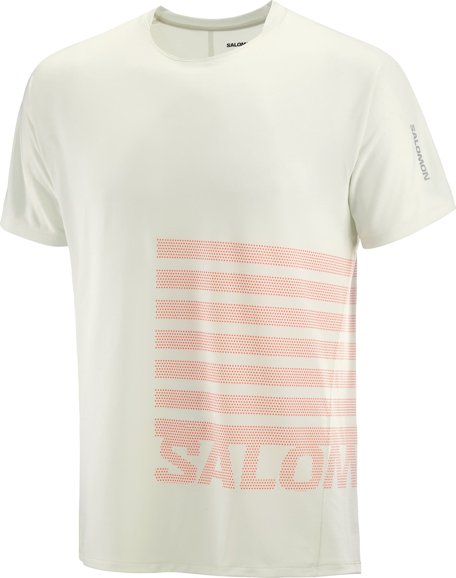 Salomon Men's Sense Aero Graphic Tee GFX Icicle/Neon Flame