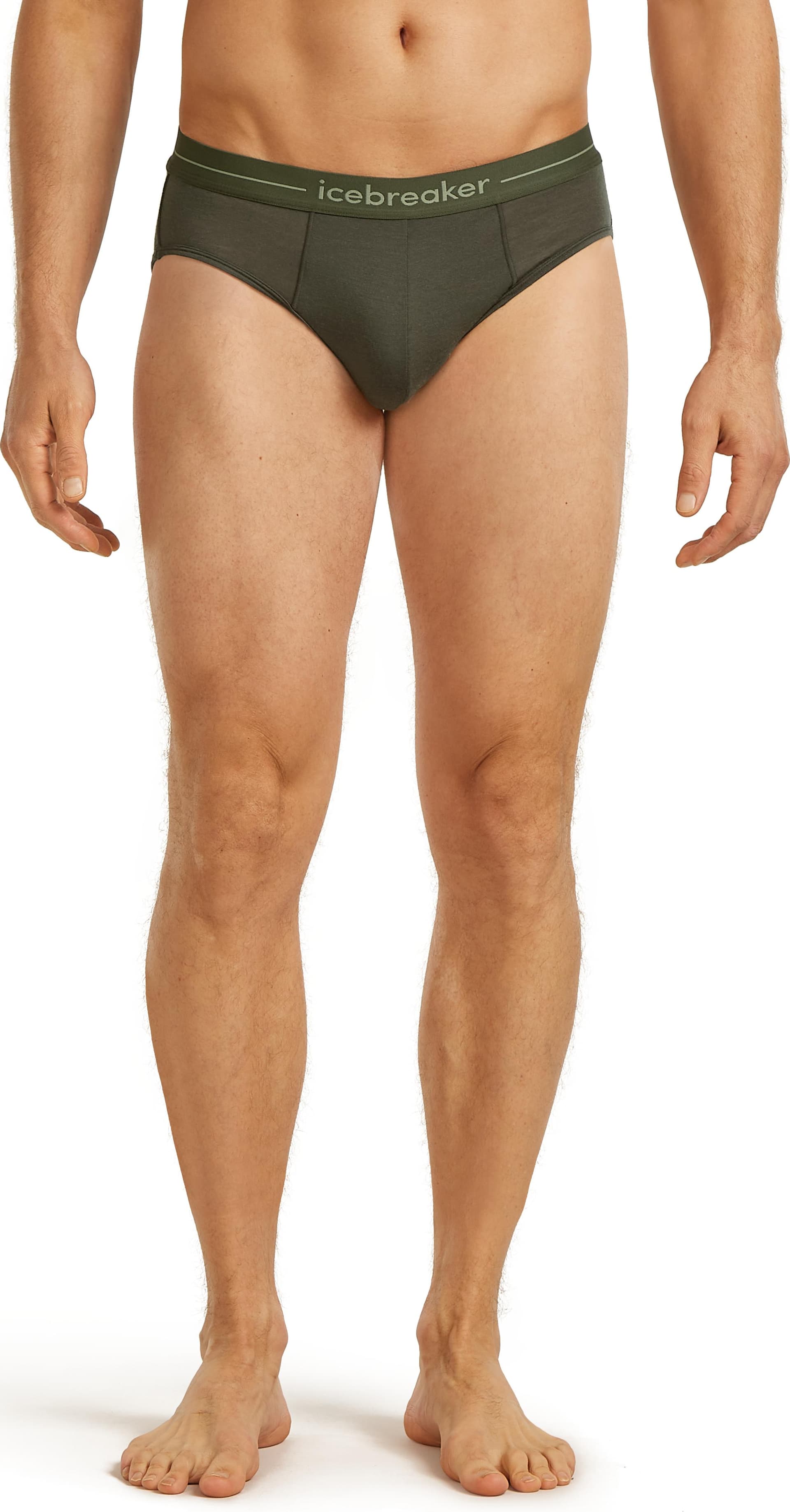 Icebreaker Icebreaker Men's 150 Anatomica Briefs Dk Loden