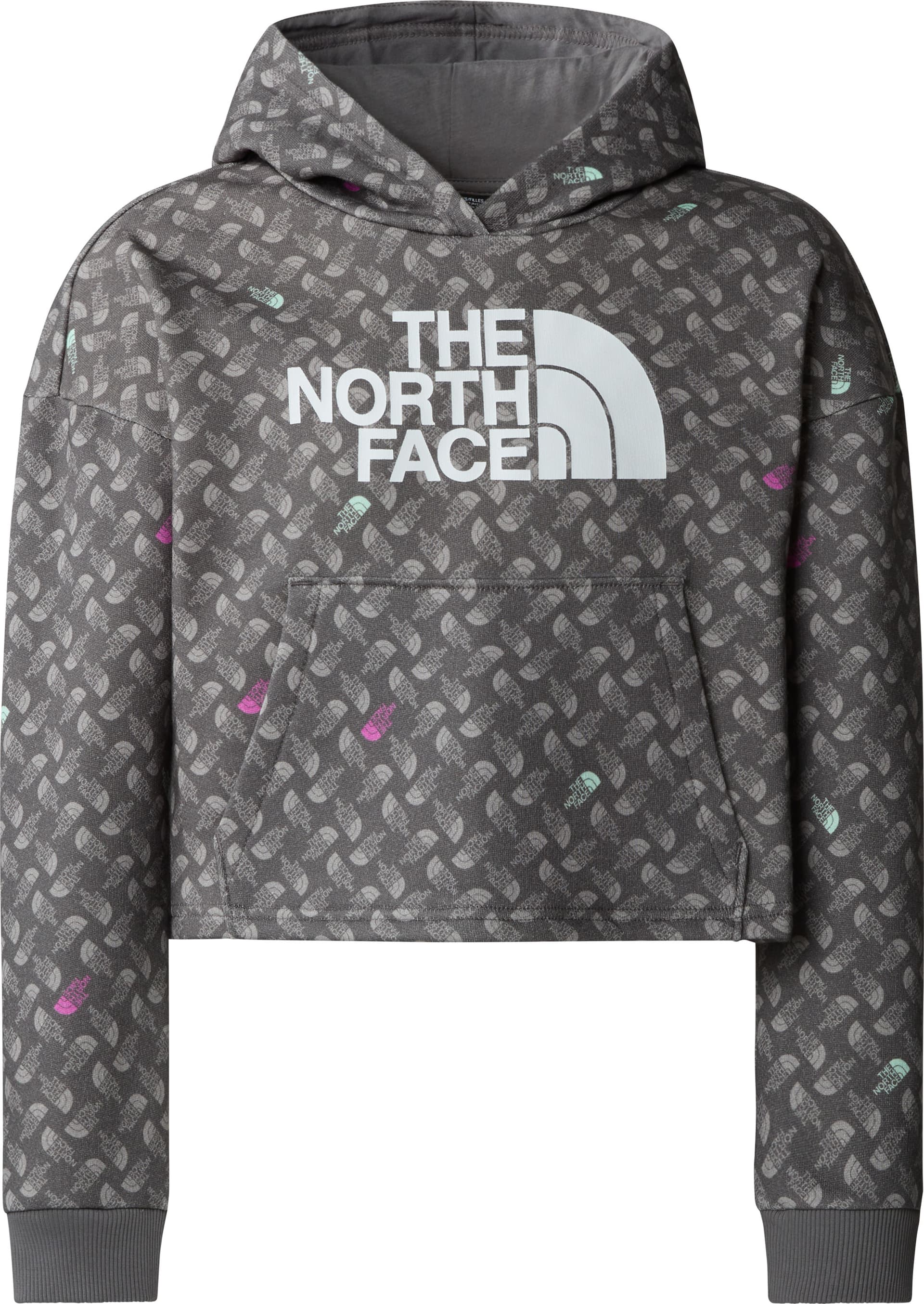 The North Face The North Face Girls' Light Drew Peak Printed Hoodie Smoked Pearl TNF Shadow